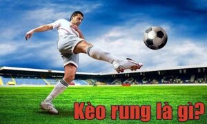 Lý do nên chơi kèo rung tại Manclub